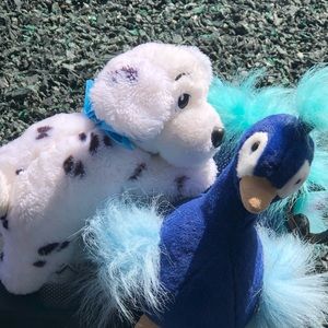 Meet your Posher, Maninder